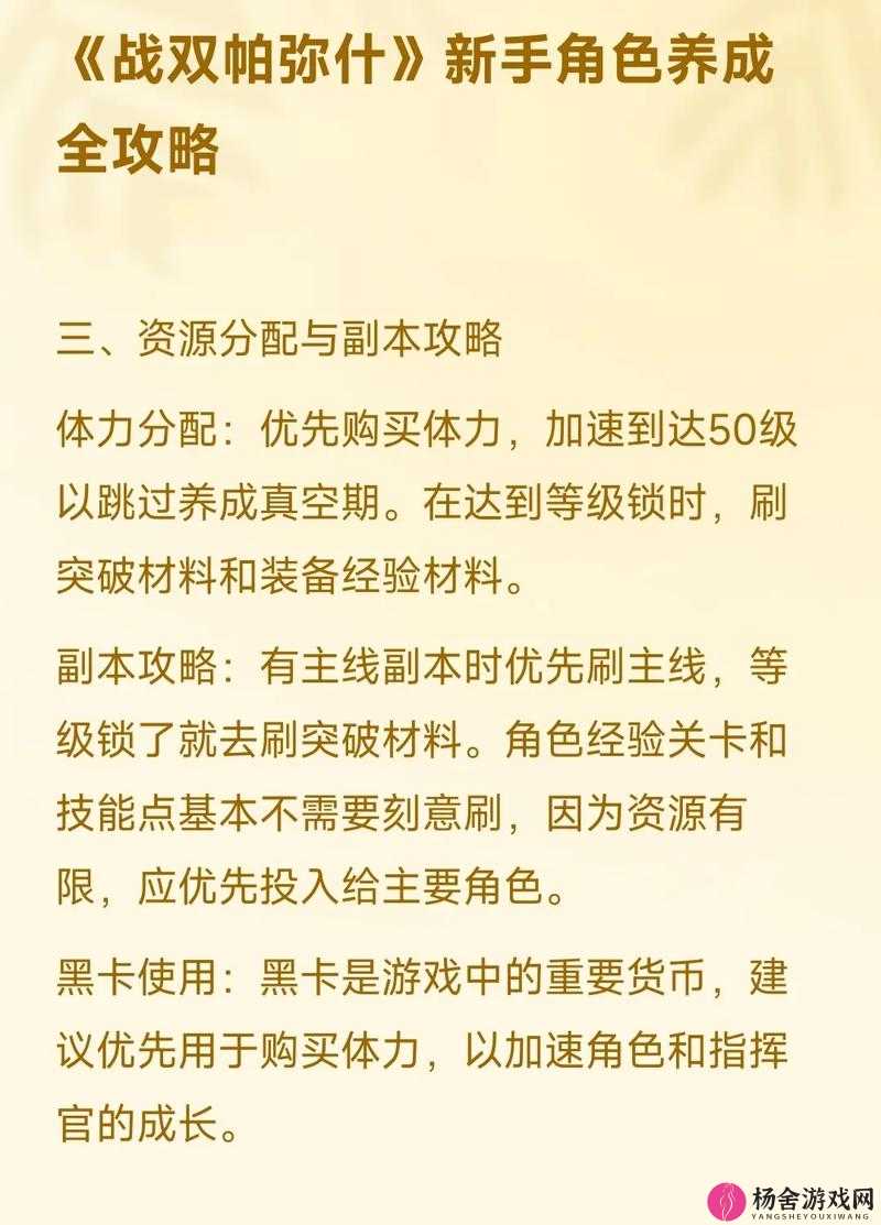 战双帕弥什，深度剖析全角色特点与玩法技巧，揭秘高效资源管理艺术